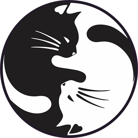 Resultado de imagem para gato yin yang