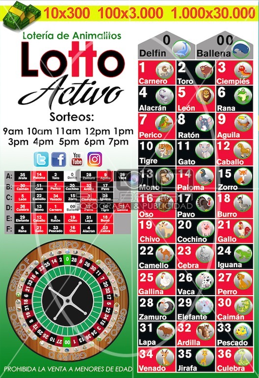 pronosticos de 21 de agosto del 2024 lotto activo granjita guacharo y