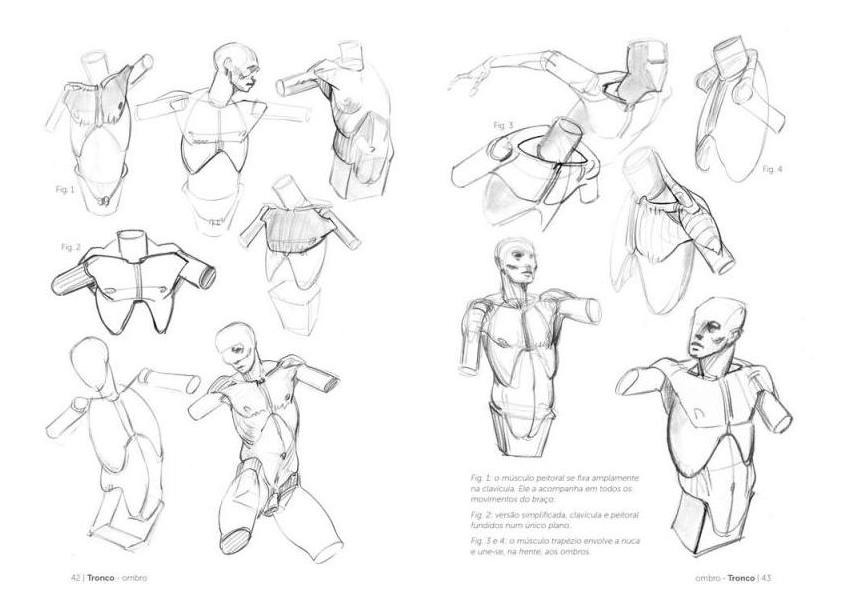 Anatomia Artística 2. Como Desenhar O Corpo Humano De