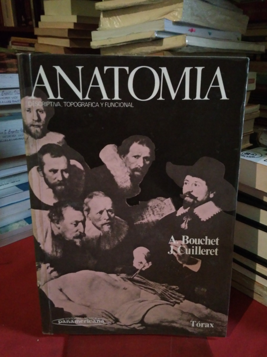 anatomia bouchet torax