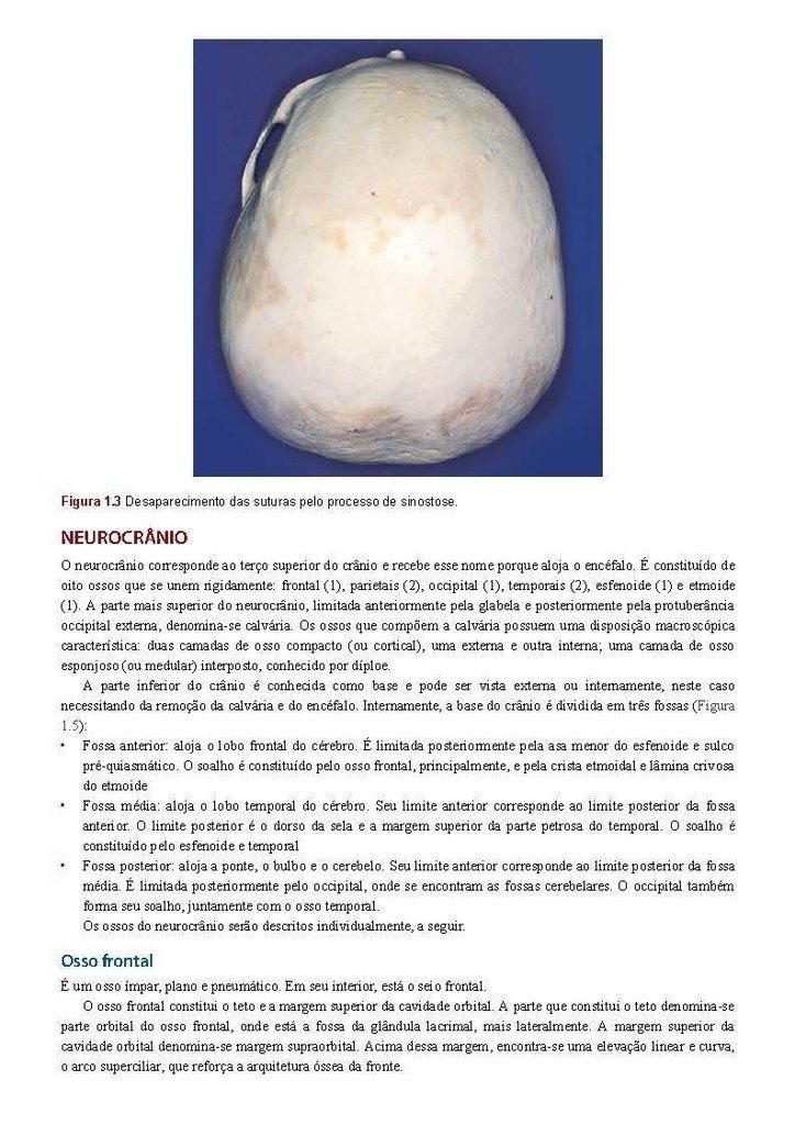 Anatomia Aplicada A Odontologia Pdf