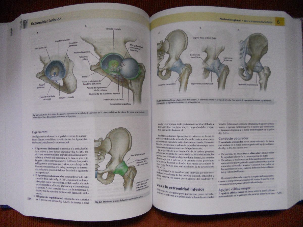 Anatomia De Gray Segunda Edición 49.900 en Mercado Libre