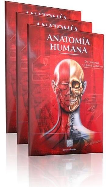 Revista Revista