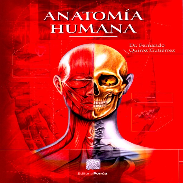 Anatomia Humana Quiroz Pdf Gratis Anatomia Humana Quiroz Pdf Gratis