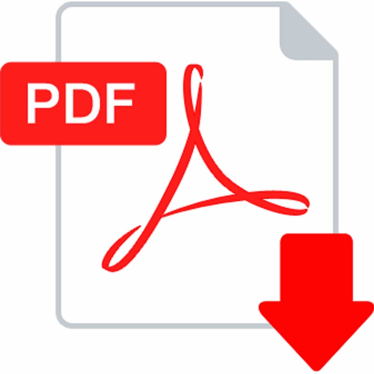 Anatomia Orientada Para Clinica Moore Ebook