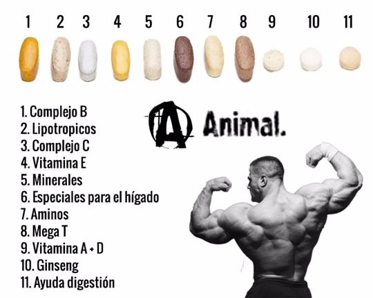 Animal Pak 44 Packs Universal Nutrition R 198 99 em 