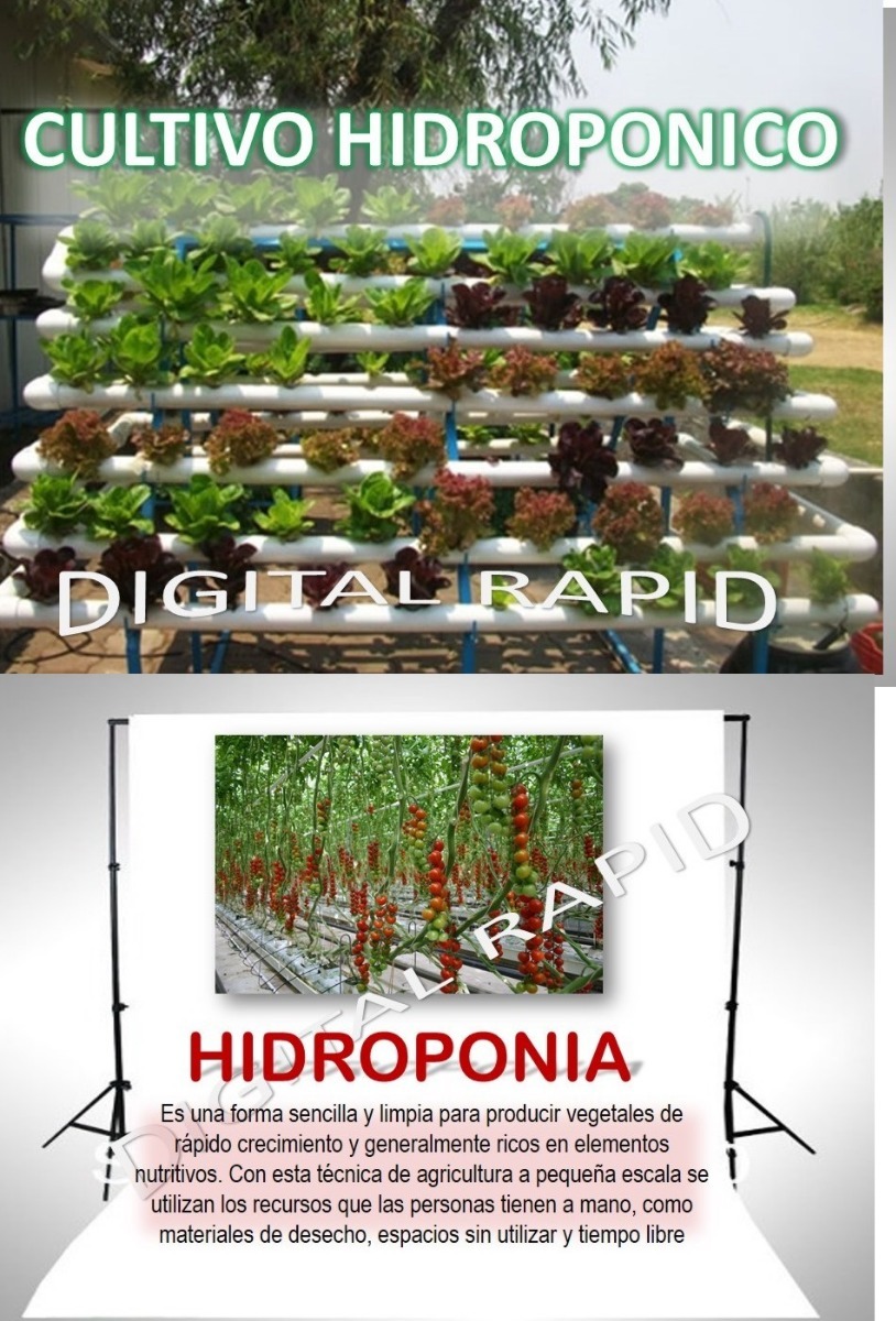 Sistema Hidroponico Tipo Nft Para Hortalizas Con Imgenes Sistema Hidroponico Tipo Nft Para Hortalizas Con Imgenes