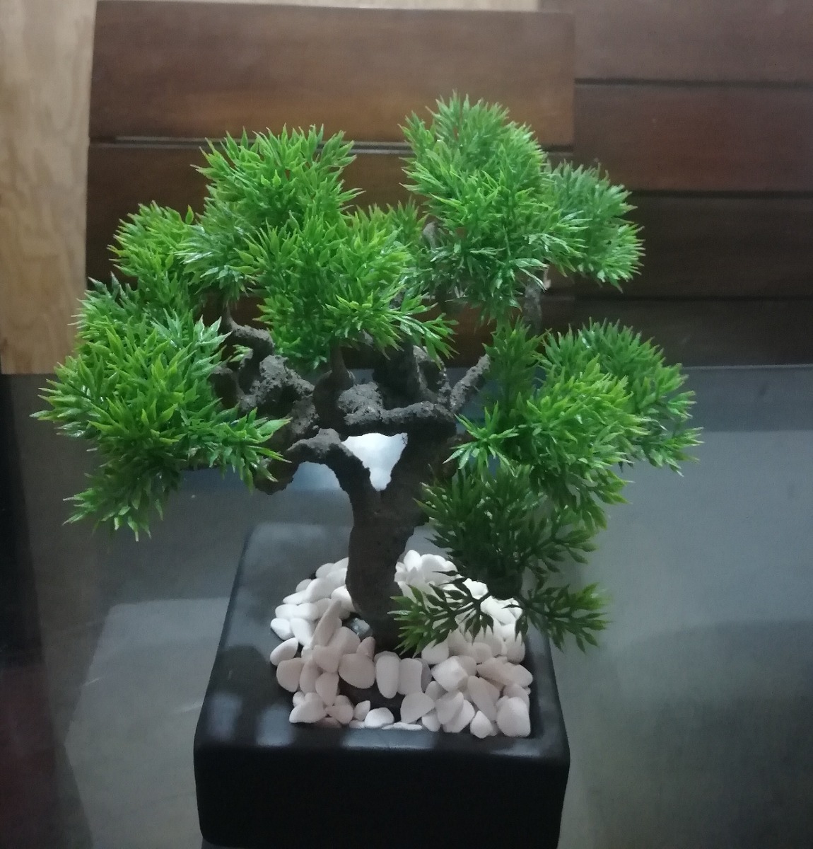 bonsai