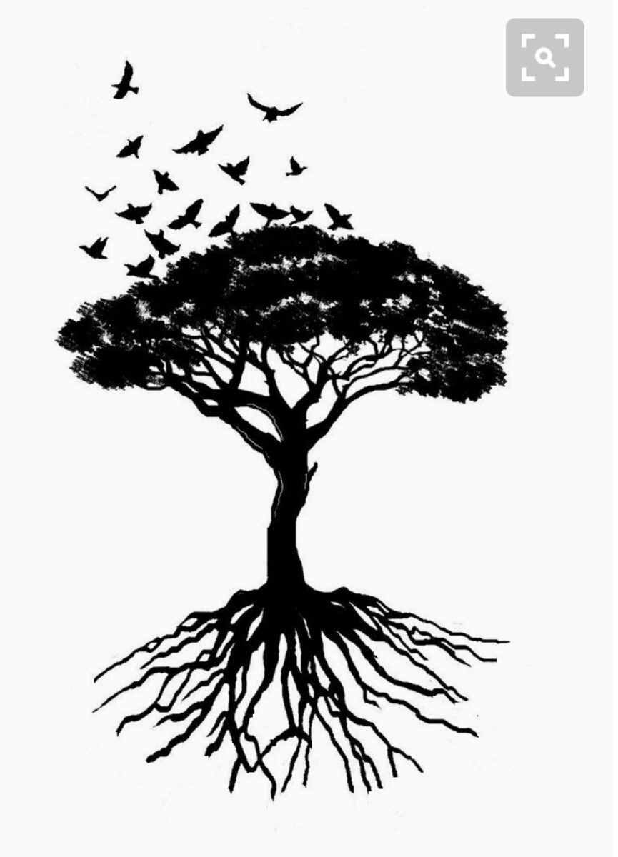 arbol con raiz decoracion en vinil 699 00 en mercado libre