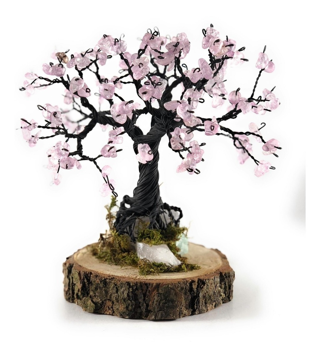 Tipos De Bonsai Arboles Tipos De Bonsai Arboles