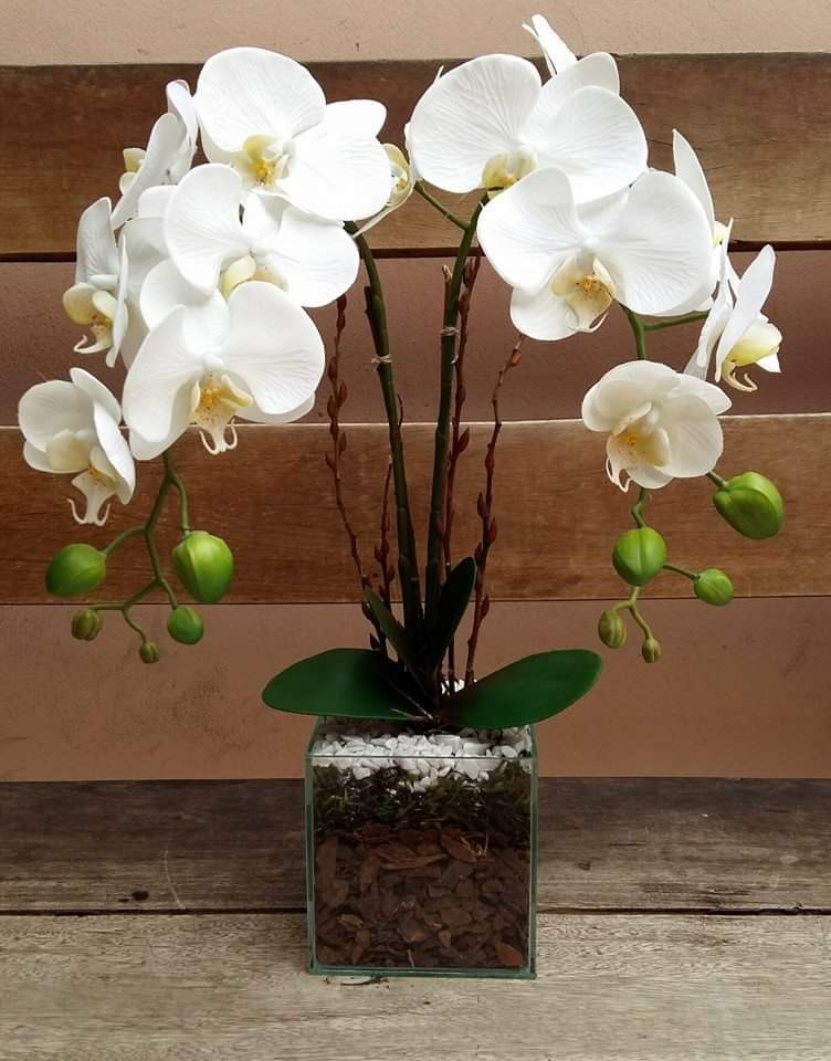 Arranjo Artificial Orquídea Silicone Com 2 Galhos Vaso Vidro R$ 169,00 em Mercado Livre -> Decorar Vasos De Vidro Com Pedras Arranjo Artificial Orquídea Silicone Com 2 Galhos Vaso Vidro R$ 169,00 em Mercado Livre -> Decorar Vasos De Vidro Com Pedras
