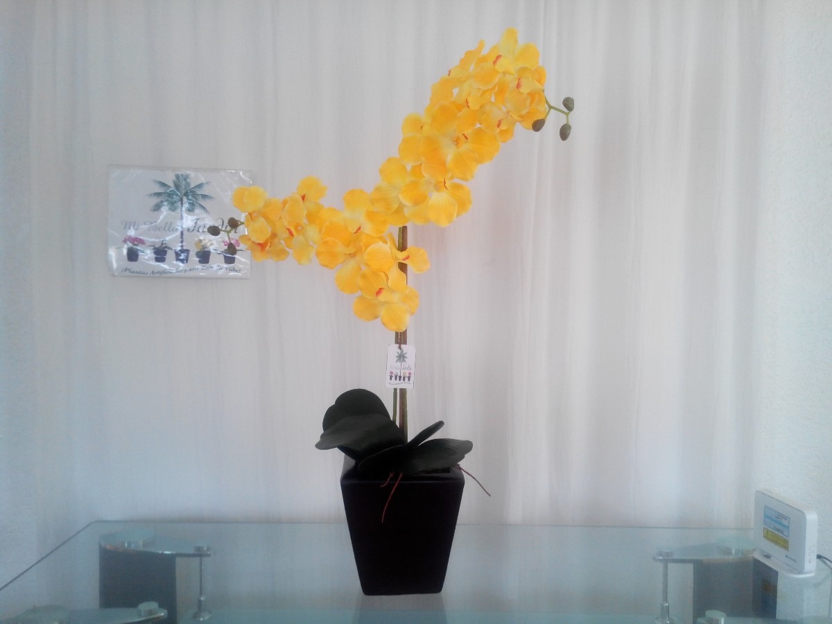 Arreglo Floral Orquídea Mn4