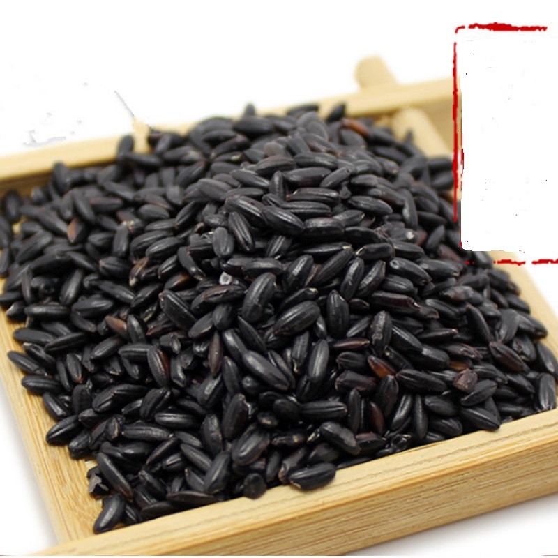 Arroz Preto Tailandês - Sementes Para Mudas - R$ 9,99 em 