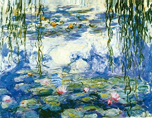 arte-de-wieco-lirios-de-agua-de-claude-monet-pinturas-a-D_NQ_NP_668715-MCO25308436582_012017-F.jpg