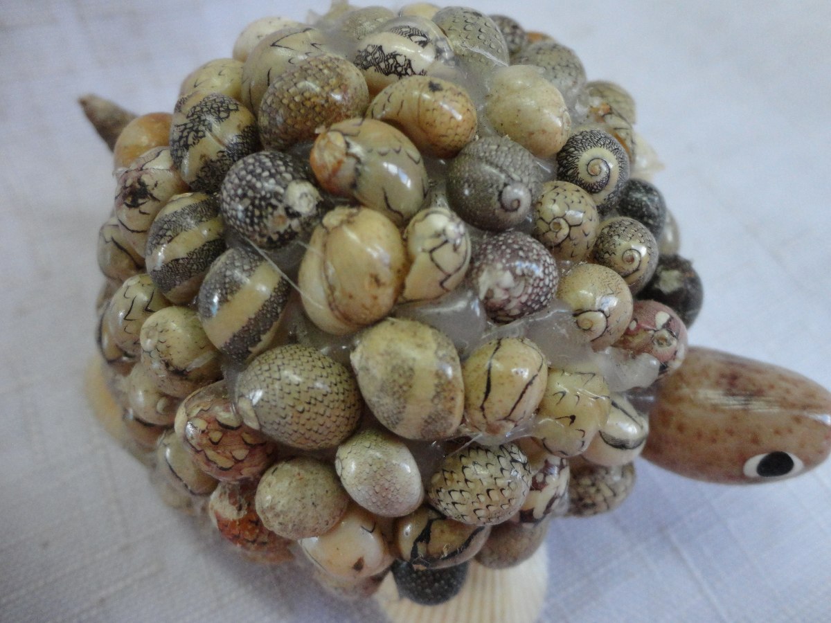 Artesanato Em Conchas E Isopor Tartaruga A44 R$ 16,00 em Mercado Livre Artesanato Russo ~ Artesanato Em Conchas E Isopor Tartaruga A44 R$ 16,00 em Mercado Livre