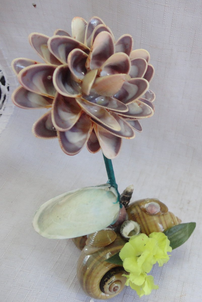 Artesanato Em Conchas Flores A47 R$ 7,00 em Mercado Livre Aparador Adega ~ Artesanato Em Conchas Flores A47 R$ 7,00 em Mercado Livre