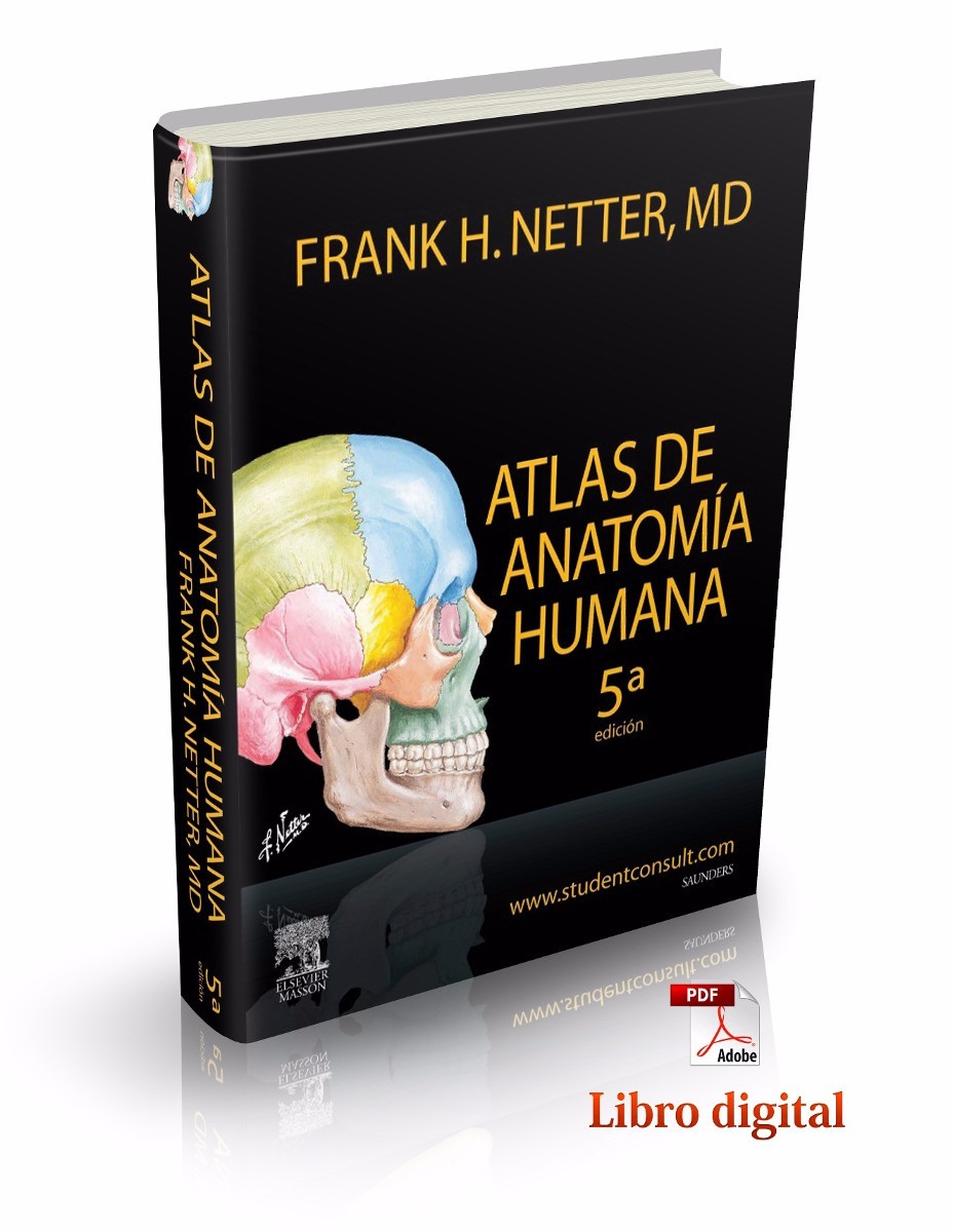 Pdf atlas de anatomia