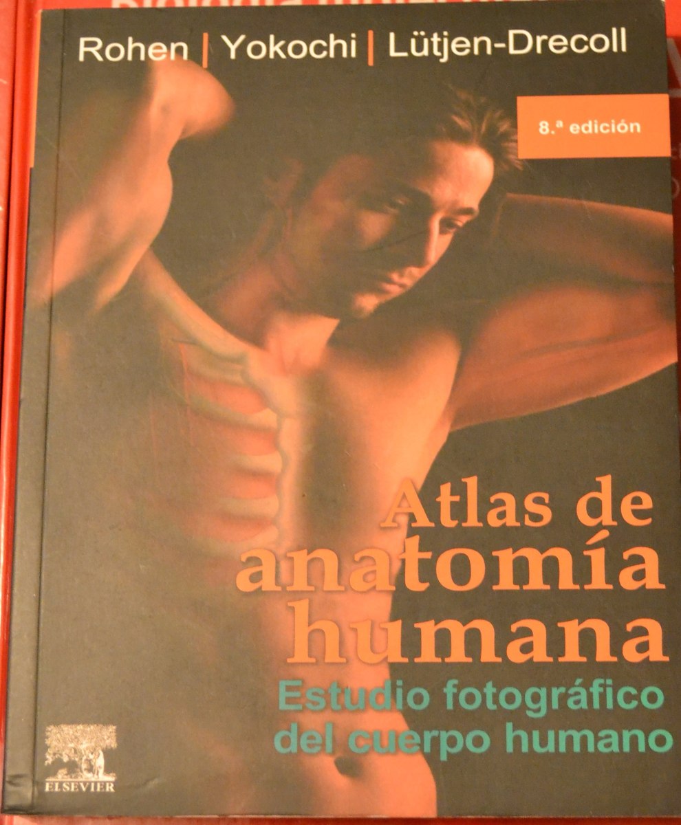 Atlas De Anatomia Humana Sobotta Pdf