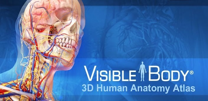 visible body 3d human anatomy atlas download visible body 3d human anatomy atlas download