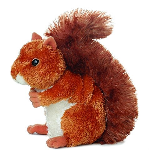 nutsie