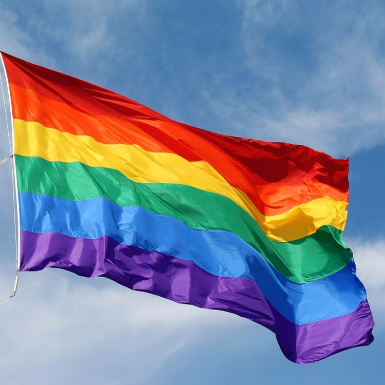 Bandeira Do Orgulho Gay Lgbt Lésbica Rainbow Flag 150x90cm R 32 90