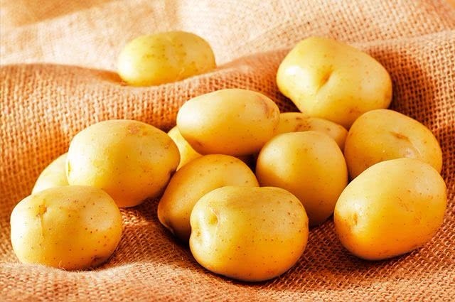 Resultado de imagem para batata inglesa