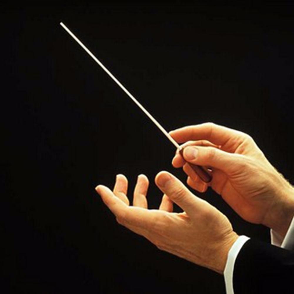 batuta-de-fibra-maestro-regentes-musicos-orquestras-D_NQ_NP_708515-MLB25260620358_012017-F