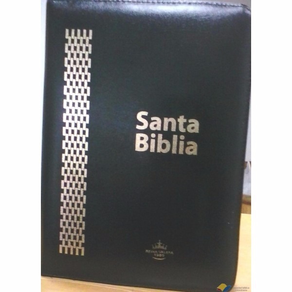 escuchar la biblia reina valera 1960 escuchar la biblia reina valera 1960