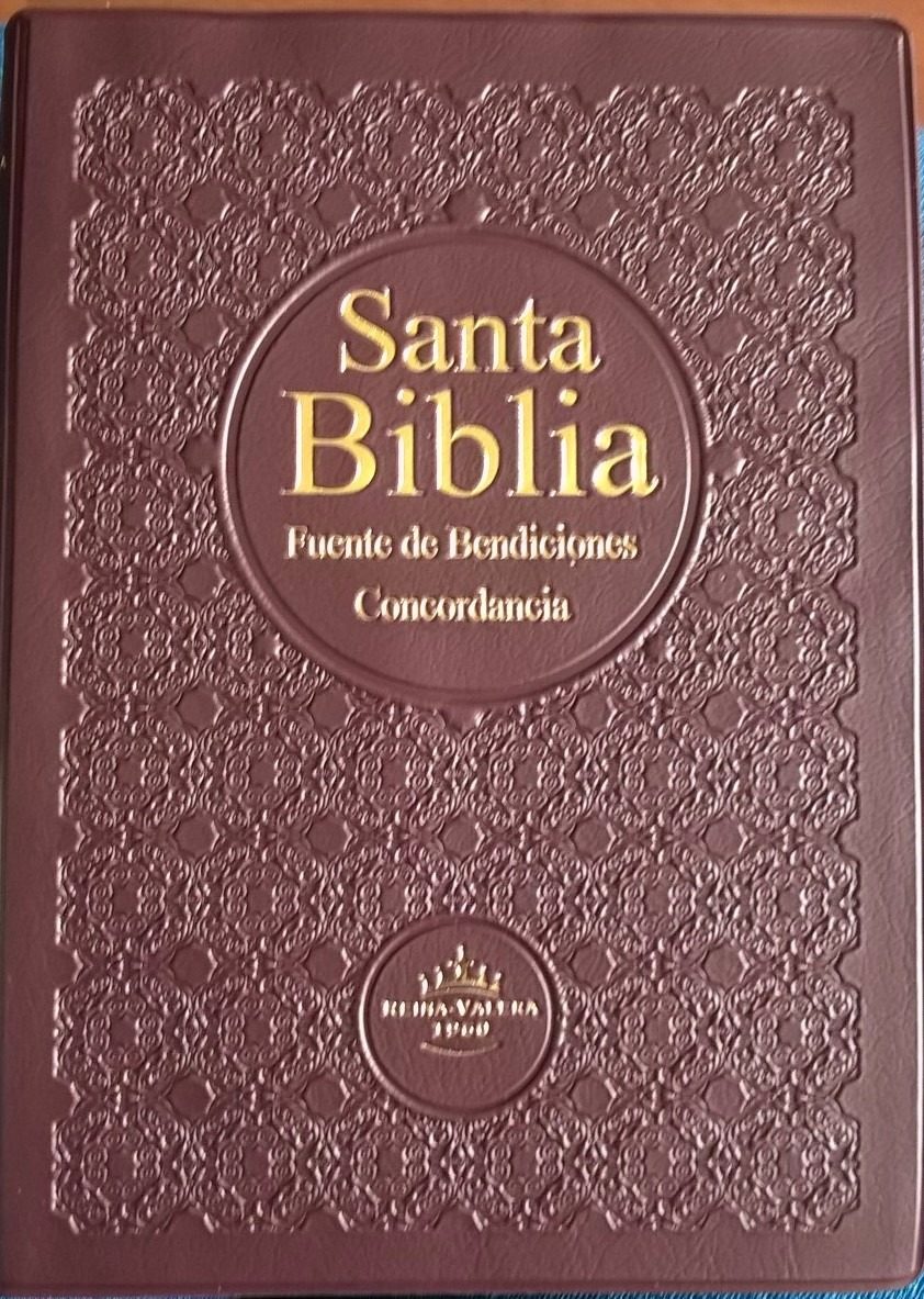 biblia reina valera 1960 online audio