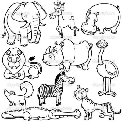 bichinhos da floresta livro de colorir para crianças r 9 99 em