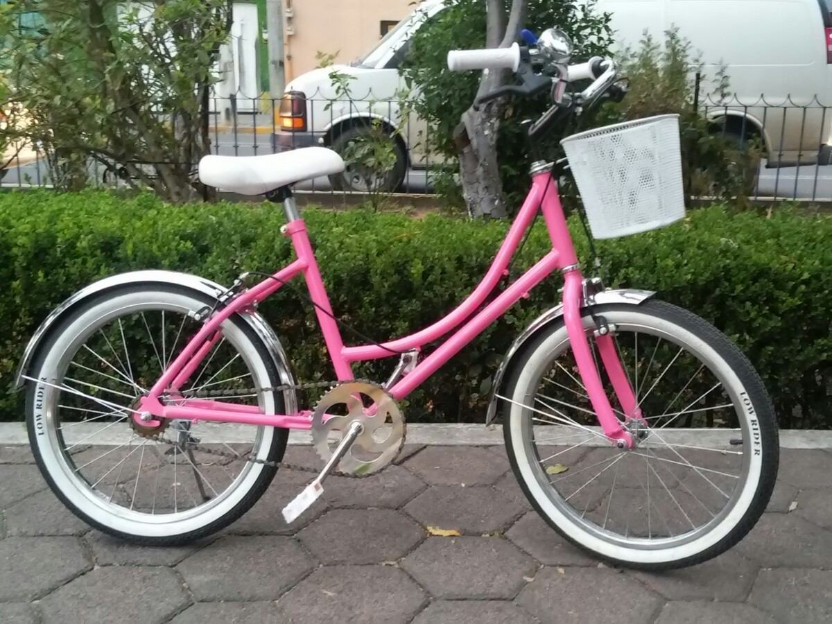 bicycletas y routas rosas