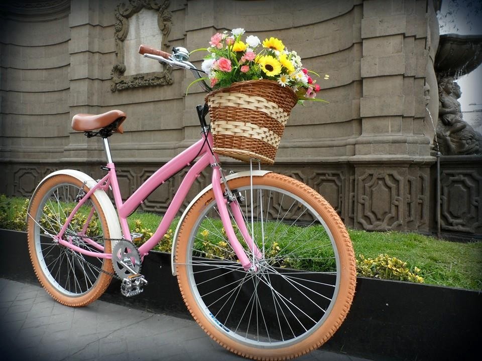 bicycletas y routas rosas
