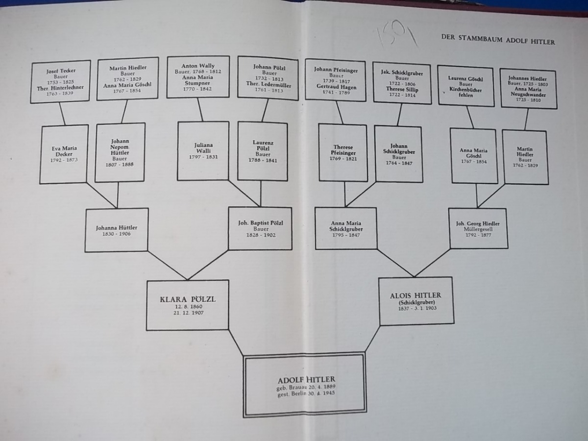 Robert Lewandowski Family Tree : Klara Lewandowska Deutschland Photos