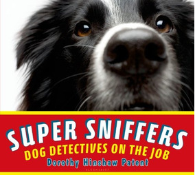 Headspace: Sniffer Dogs, Spy Bees and One Womans Adventures in the Surveillance Society