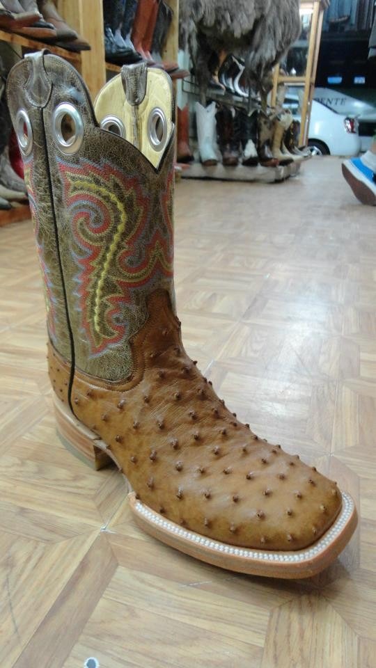 botas de piel de avestruz botas de piel de avestruz