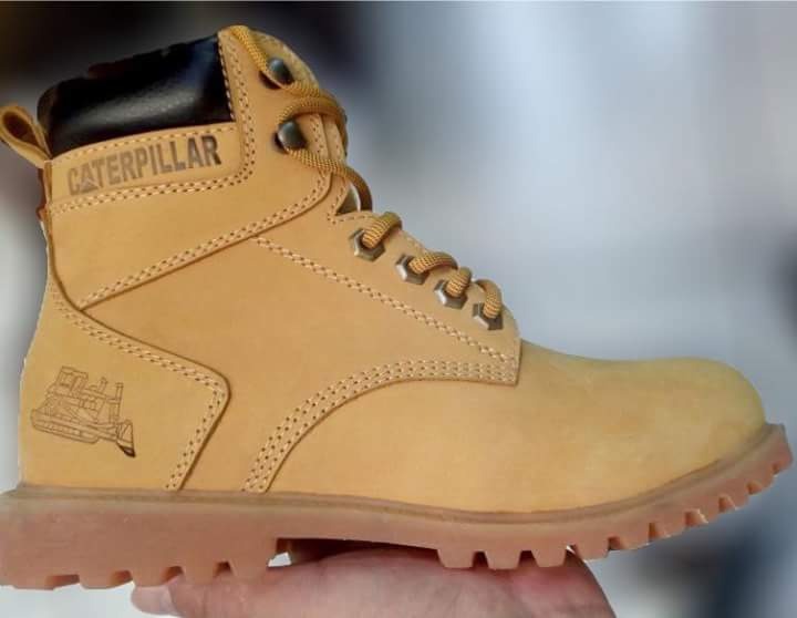 cat timberland