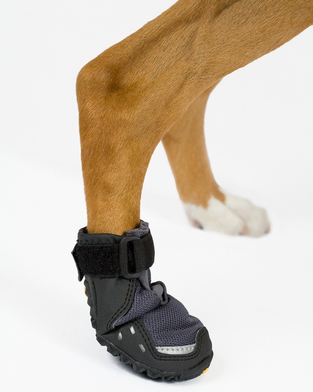 Dog Grip Socks Australia Dog Grip Socks Australia