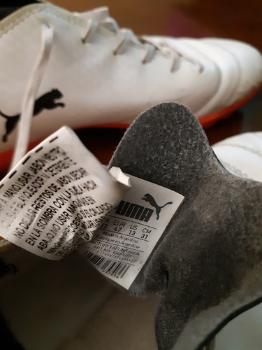 restos puma hombre restos puma hombre