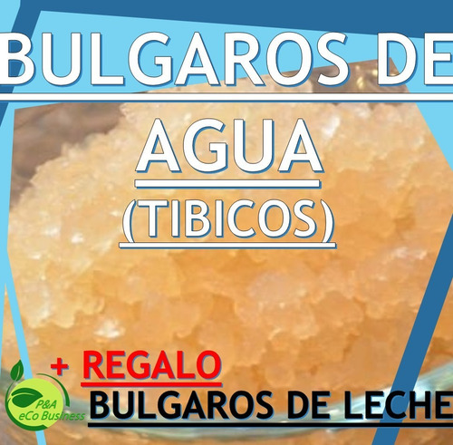 Bulgaros De Agua Tibicos+ Kefir (leche) Regalo+guia De Uso Bulgaros De Agua Tibicos+ Kefir (leche) Regalo+guia De Uso