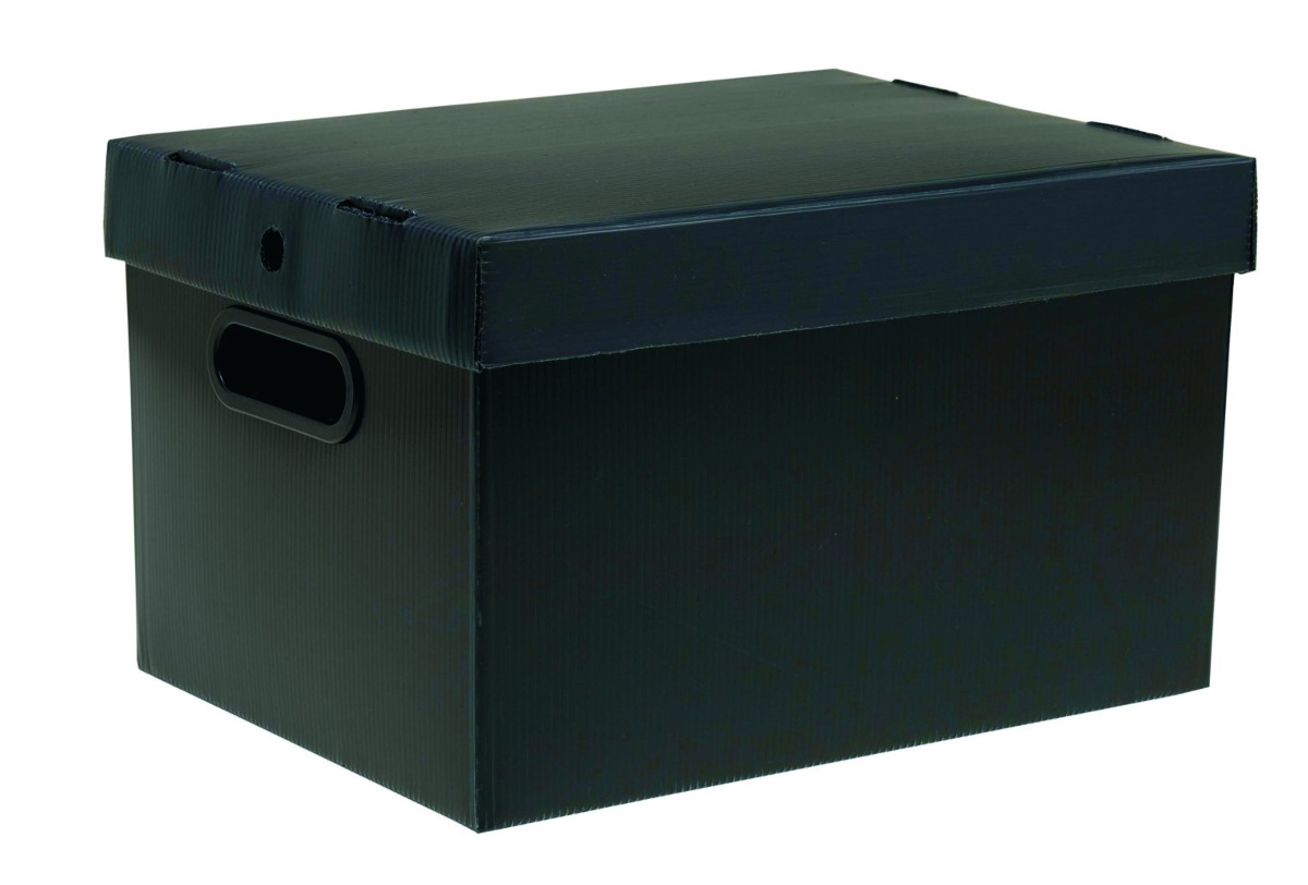 Caixa Organizadora De Plástico Prontobox Preta Grande - R 
