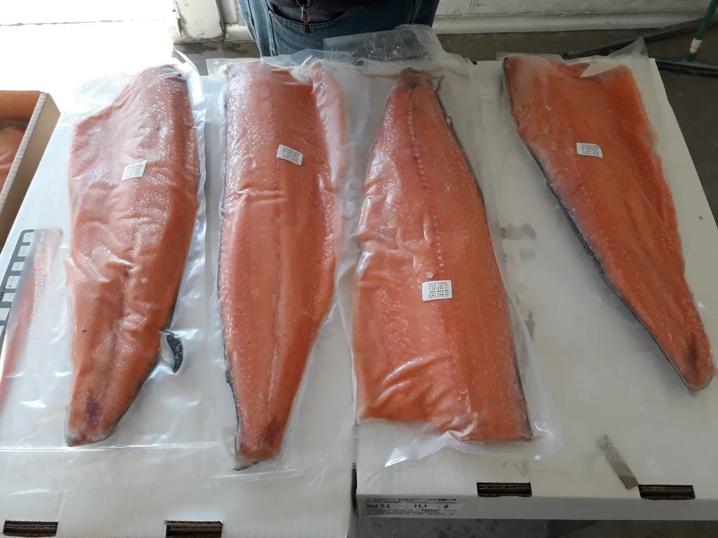Exigen cambios al Código Alimentario ya que 1 de cada 5 pescados comercializados están mal rotulados