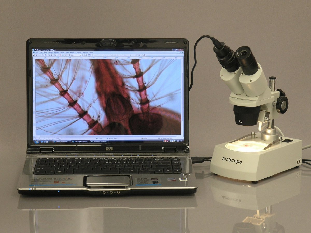 camara digital usb para microscopio amscope md35 c