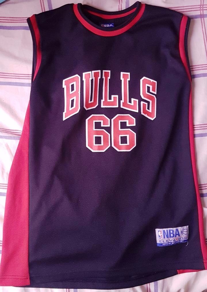 bulls jersey 66