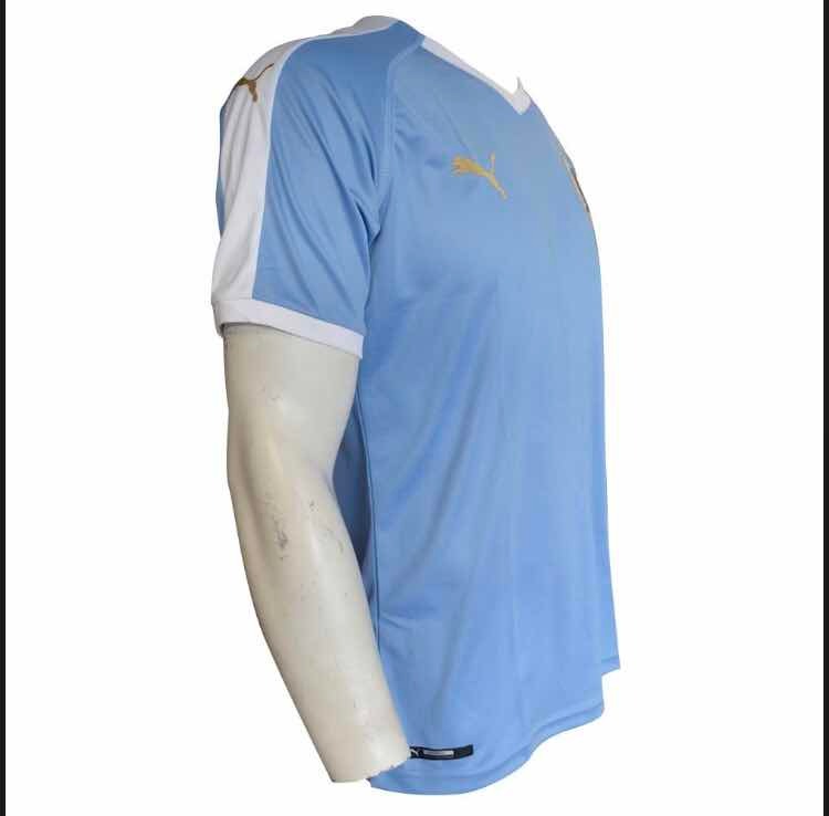 uruguay puma 2019