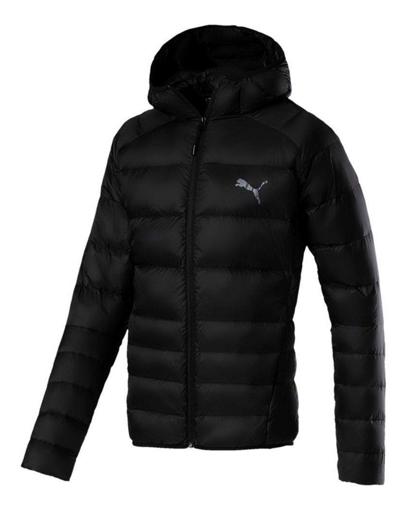 plumas puma hombre plumas puma hombre