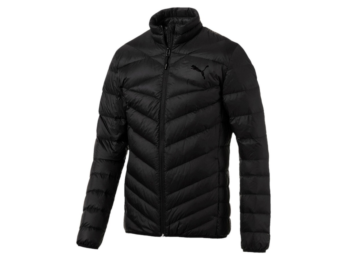 plumas puma hombre plumas puma hombre