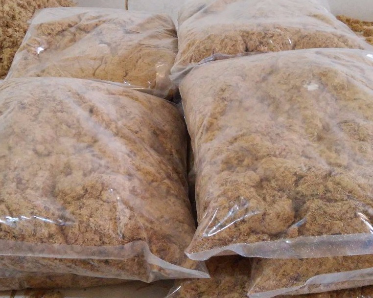 machaca machacha machaca machacha