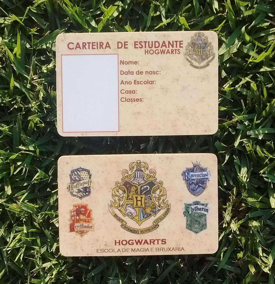 Carteira De Estudante Hogwarts - Harry Potter - Frete 