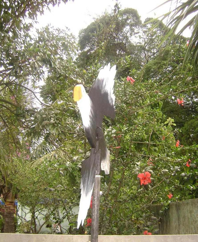 decoracao para jardins mercado livre: Para Chácaras, Sítios E Jardins – Gavião – R$ 105,00 em Mercado decoracao para jardins mercado livre: Para Chácaras, Sítios E Jardins – Gavião – R$ 105,00 em Mercado