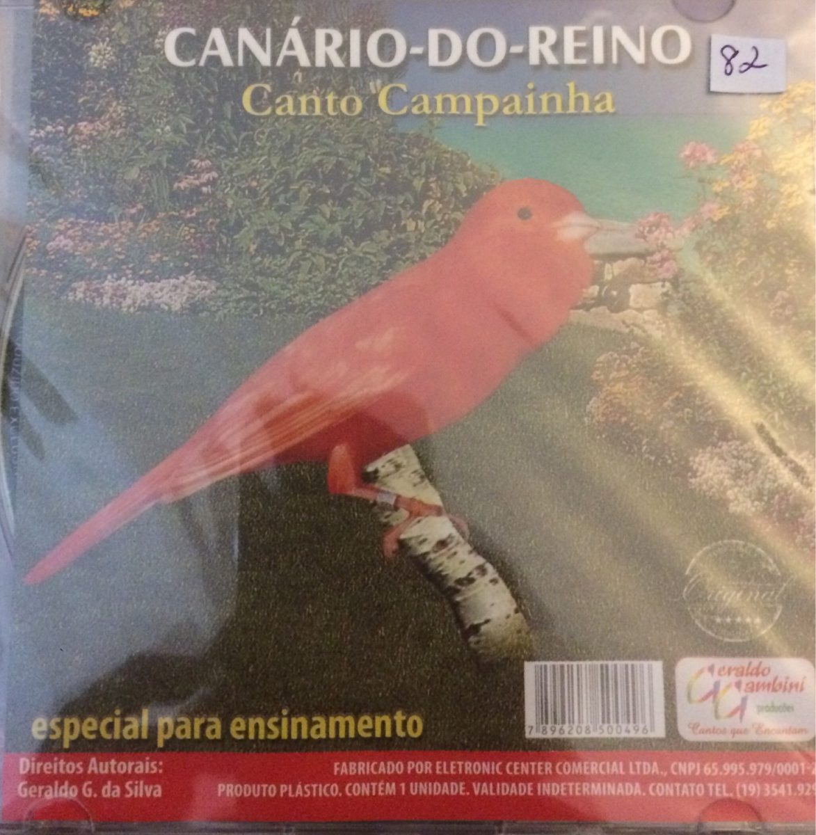 canario do reino canto campainha